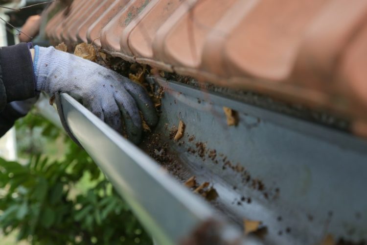 Beyond the Leaves: How Gutter Cleaning Protects Your Entire Home