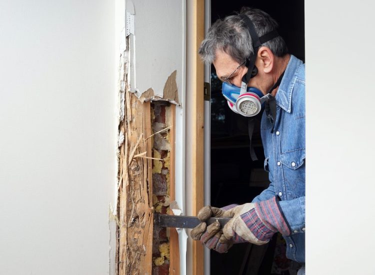 The Benefits of Regular Home Maintenance Service to Prevent Wood Damage